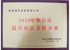 2020年烟台市最具社会责任企业