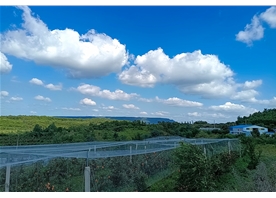苹果基地