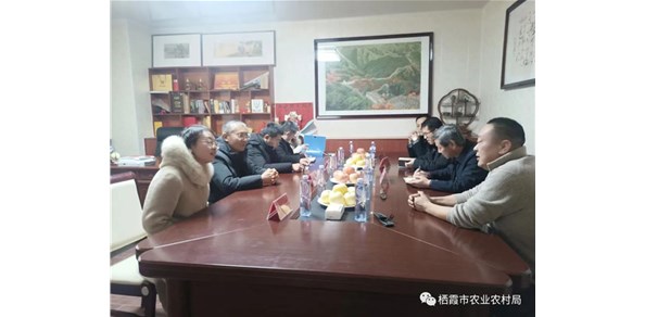 省农业农村厅检查组来我市开展农业标准化生产基地检查验收