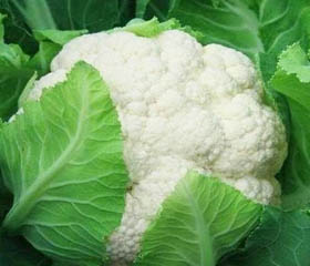 Cauliflower