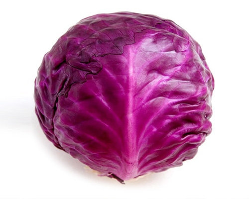 Purple cabbage