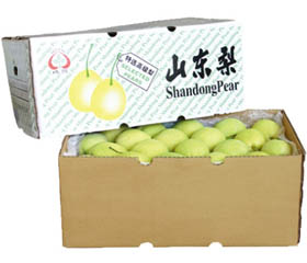 Shandong Pear