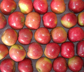 Jiguan apple