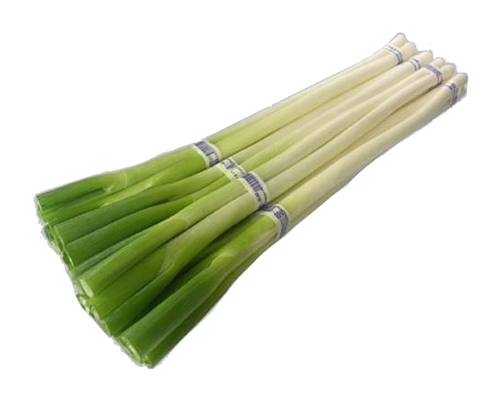 Scallions