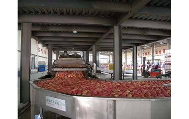 Sorting line