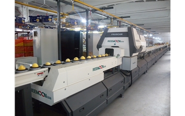 Sorting line