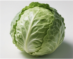 包菜